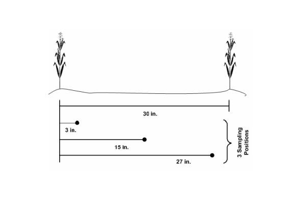 Recommended soil sampling pattern in relation to two corn rows when N fertilizer
has been banded with the row. Always sample perpendicular to the direction...