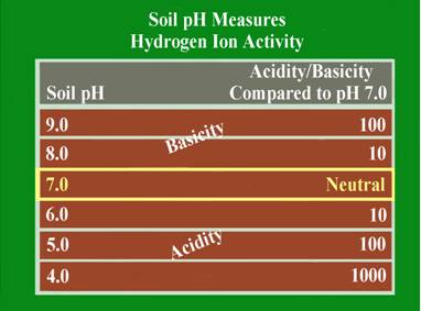 Figure 1: pH Scale Progression