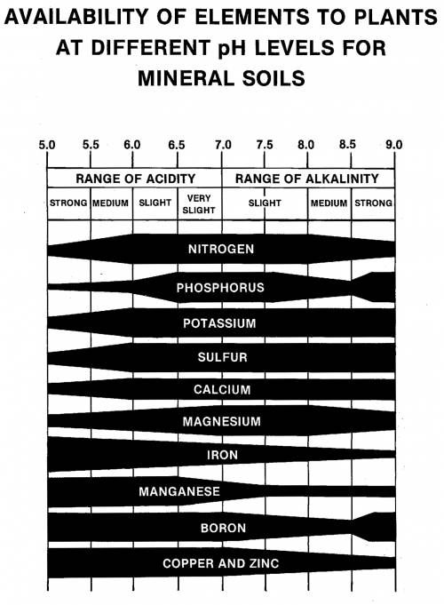 nutrient_availability_soil_ph_mineral_soils.jpg nutrient_availability_soil_ph_mineral_soils.jpg
