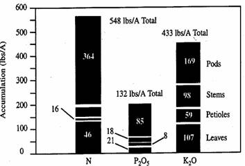 Soybean Nutrient Uptake Chart